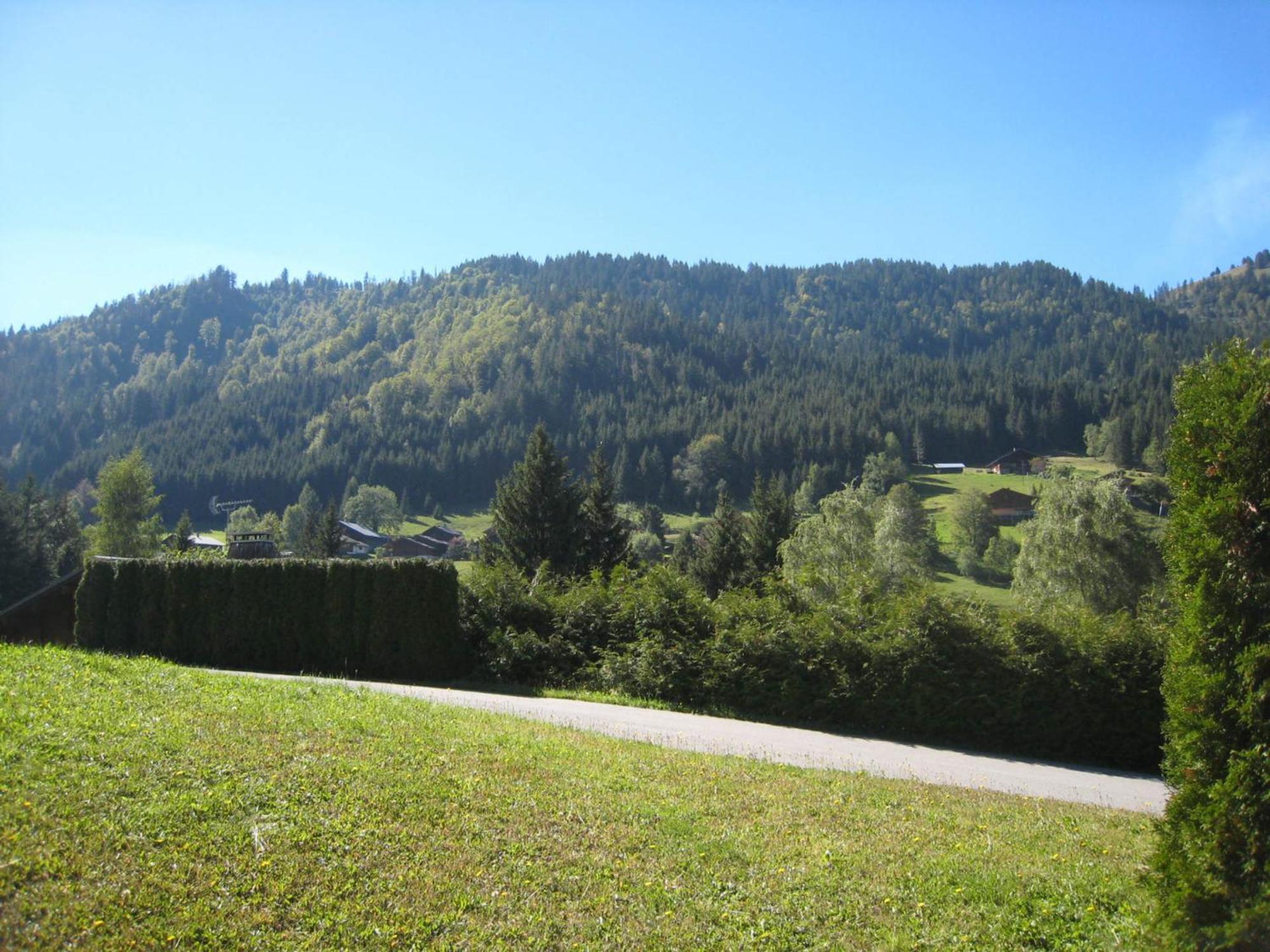 Charmant Studio Avec Terrasse Et Wifi A La Clusaz - Fr-1-459-64 Exterior foto